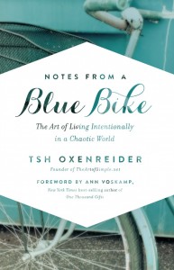 blue bike cover