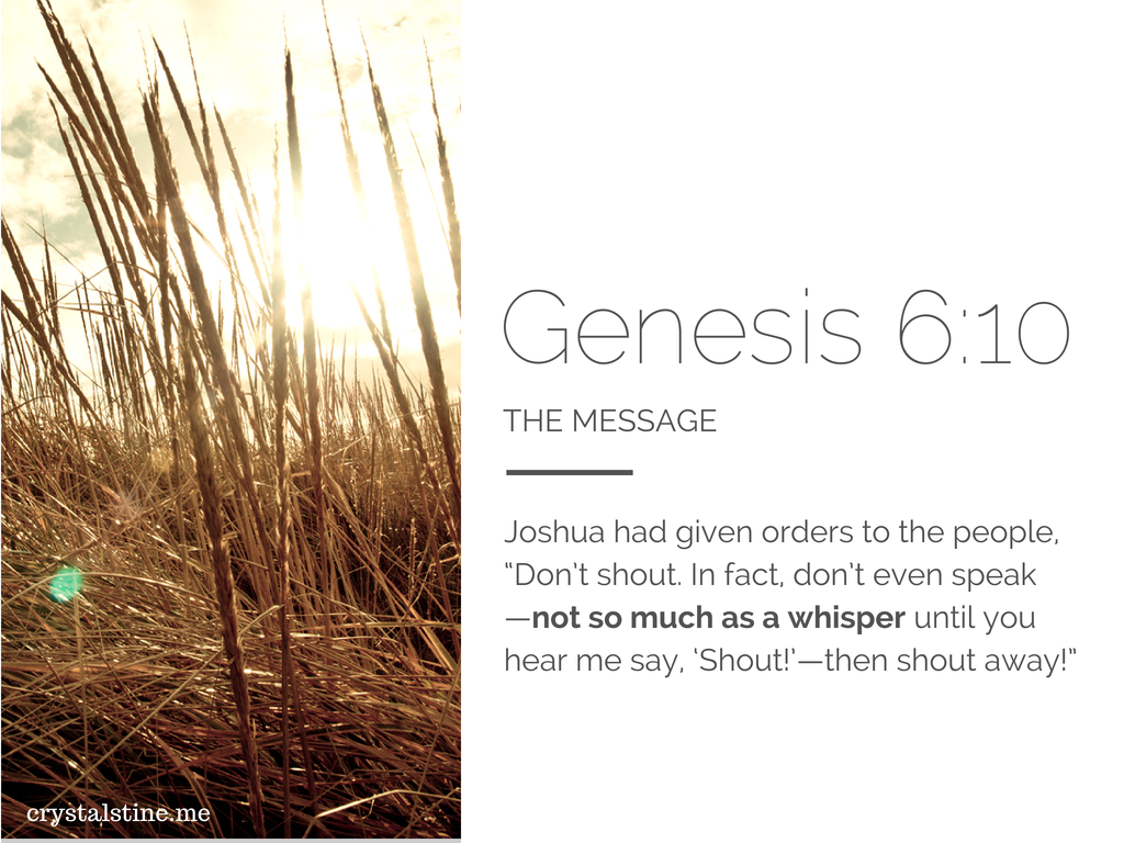 Genesis 6:10